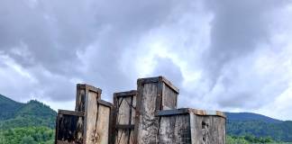 FOTO: Întâlnirile din Maxonia, în acest an dedicate bronzului. Cine sunt artiștii invitați