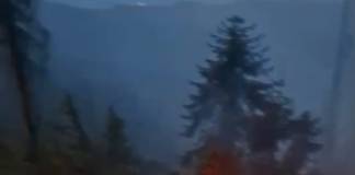 VIDEO – Un hectar dintr-o pădure din Bistrița-Bârgăului – cuprinsă de flăcări!