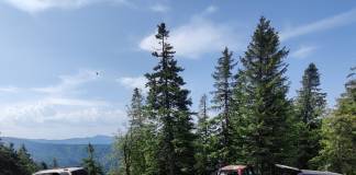 FOTO: Distracție ilegală la Colibița! Cât au scos din buzunar cei care au încălcat legea în weekend