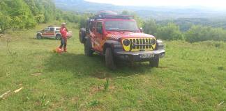 Turiști din Suceava, căutați de Salvamont cu unitatea canină, după ce au anunțat prezența unui urs lângă cortul lor! Ce s-a întâmplat: