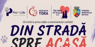 Din stradă spre acasă: Prima ediție a târgului caritabil dedicat cățeilor din Adăpostul Public Bistrița!